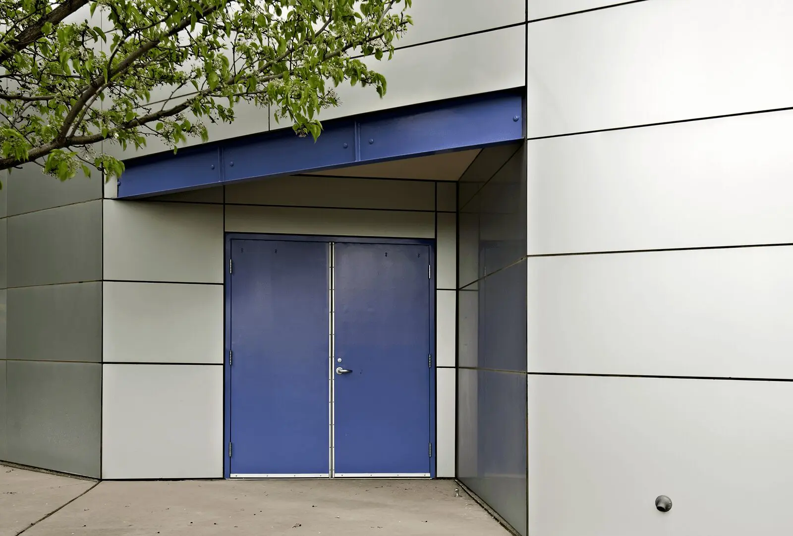 Blue double doors on modern building exterior.